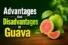 Advantages and Disadvantages of Guava