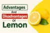 Advantages and Disadvantages of Lemon: Benefits, Risks, and Uses  - Post Thumbnail