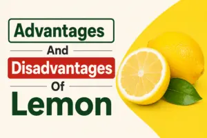 Advantages and Disadvantages of Lemon: Benefits, Risks, and Uses 