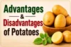 Advantages and Disadvantages of Potatoes: Benefits & Side Effects  - Post Thumbnail