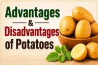 Advantages and Disadvantages of Potatoes: Benefits & Side Effects 