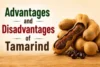Advantages and Disadvantages of Tamarind: Benefits & Side Effect - Post Thumbnail