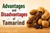 Advantages and Disadvantages of Tamarind: Benefits & Side Effect