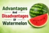 Advantages and Disadvantages of Watermelon: Hidden Health Risks - Post Thumbnail