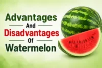 Advantages and Disadvantages of Watermelon: Hidden Health Risks