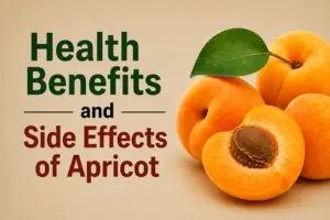 Health Benefits and Side Effects of Apricot (Khubani)