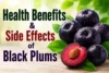 Health Benefits and Side Effects of Black Plums (Jamun) - Post Thumbnail