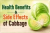 Health Benefits and Side Effects of Cabbage - Post Thumbnail