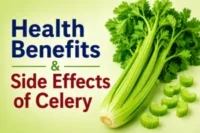 Health Benefits and Side Effects of Celery (Ajmood)