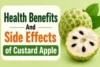 Health Benefits and Side Effects of Custard Apple (Sharifa) - Post Thumbnail