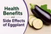 Health Benefits and Side Effects of Eggplant (Baingan) - Post Thumbnail