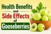 Health Benefits and Side Effects of Gooseberries (Amla) - Post Thumbnail
