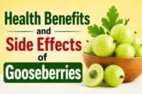 Health Benefits and Side Effects of Gooseberries (Amla)