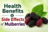 Health Benefits and Side Effects of Mulberries (Shatoot) - Post Thumbnail