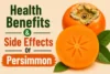 Health Benefits and Side Effects of Persimmon (Japani Phal) - Post Thumbnail