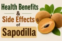 Health Benefits and Side Effects of Sapodilla (Chikoo)
